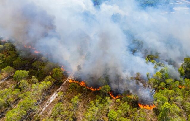 Incendi boschivi in Italia