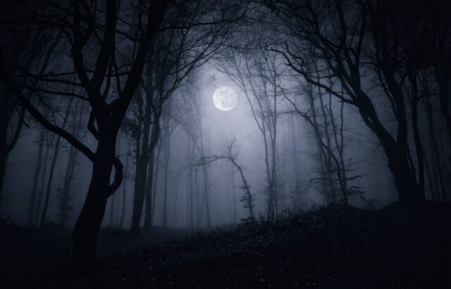 Silent Hill: Townfall - immagine del gioco